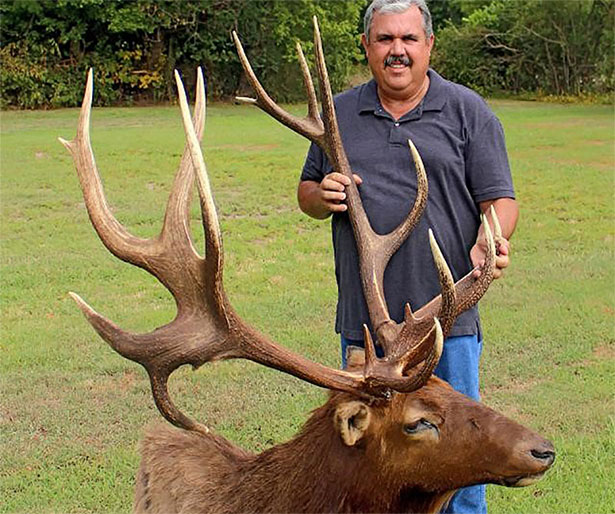 jerry-jaynes-oklahoma-nontypical-elk-record-cy-curtis-M