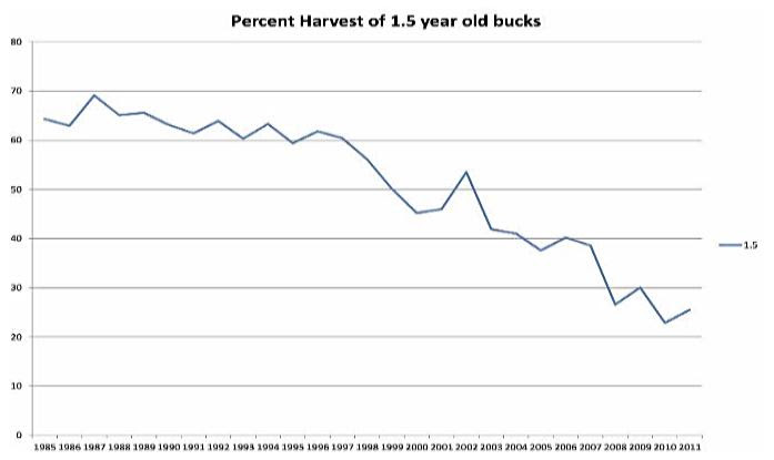 percent-of-1.5-year-old-buck