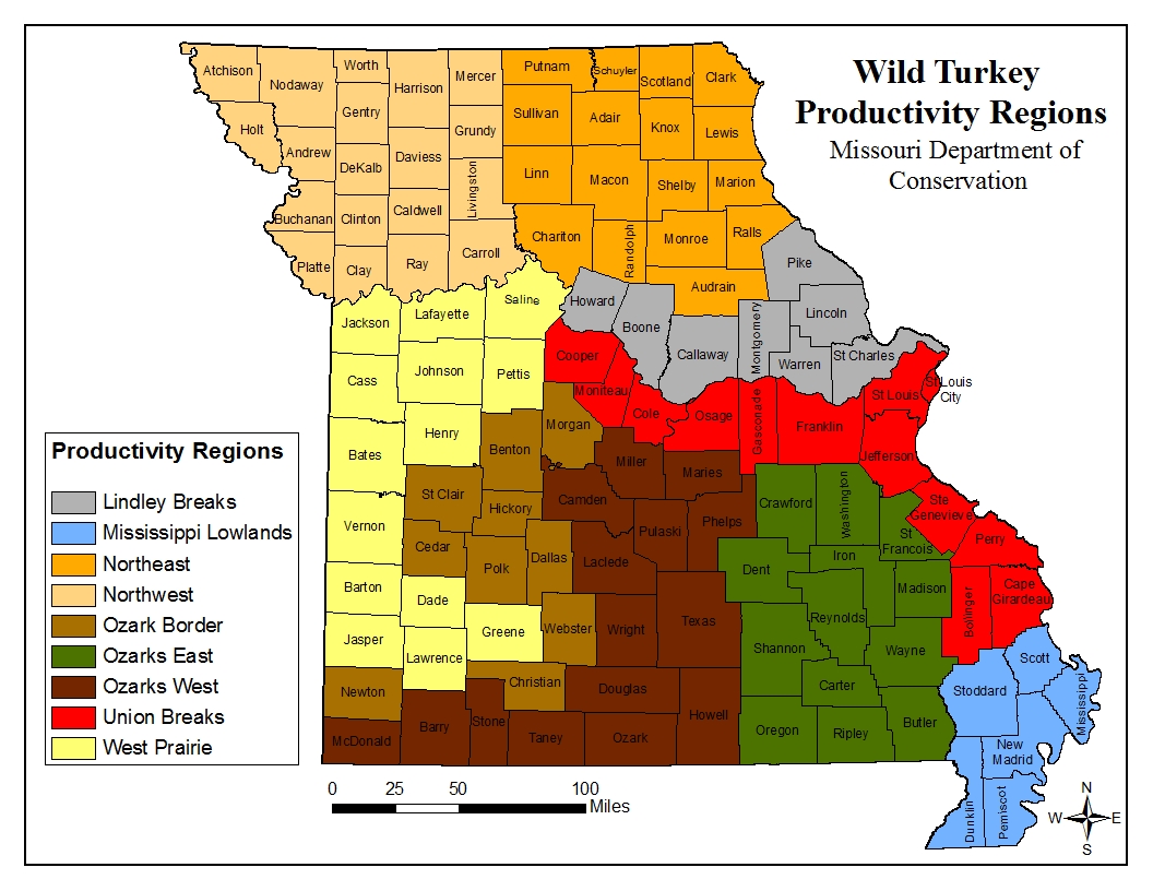 Missouri Forecasts Good Spring Turkey Season for Hunters The Venatic