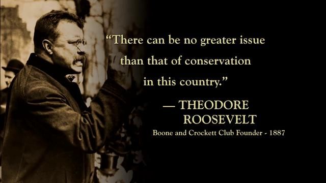 theodore-roosevelt-quote