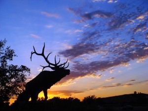 elk-silhouette-north-carolina