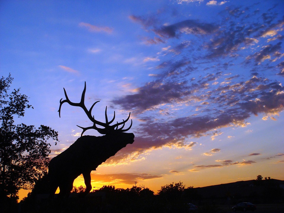 elk-silhouette-north-carolina