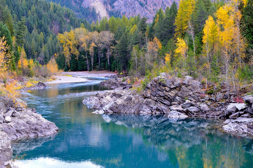 flathead-forest-montana-bob-marshall