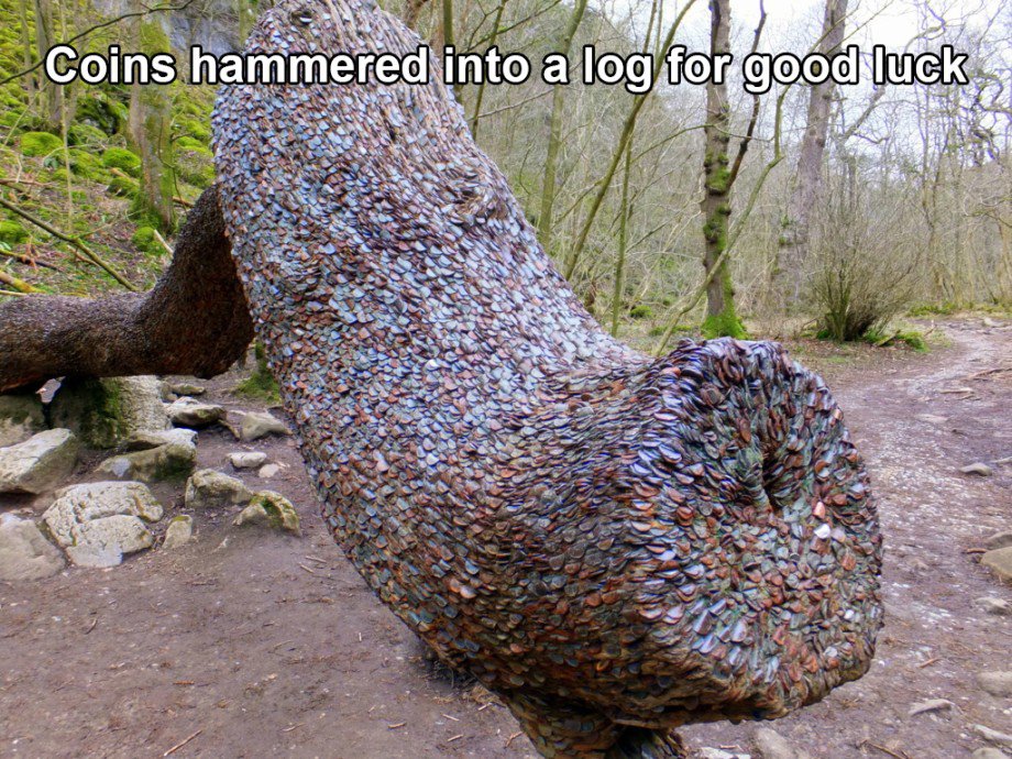 coins-hammered-into-log