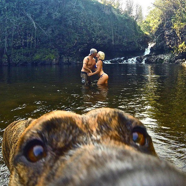 couple-kissing-in-lake-dog-watching