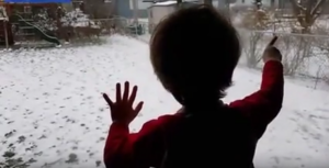 ohio-boy-goes-nuts-for-deer-in-his-backyard-video