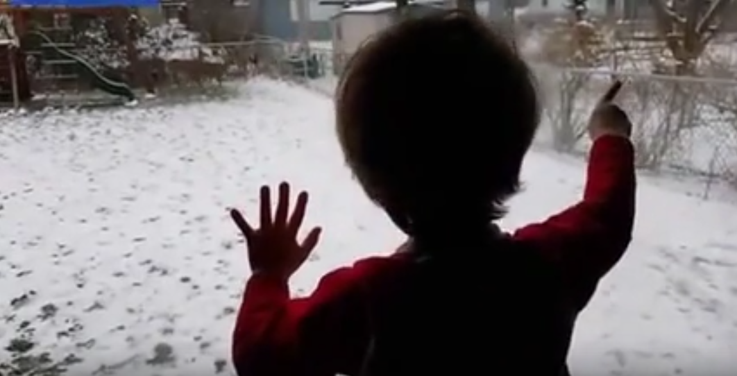 ohio-boy-goes-nuts-for-deer-in-his-backyard-video