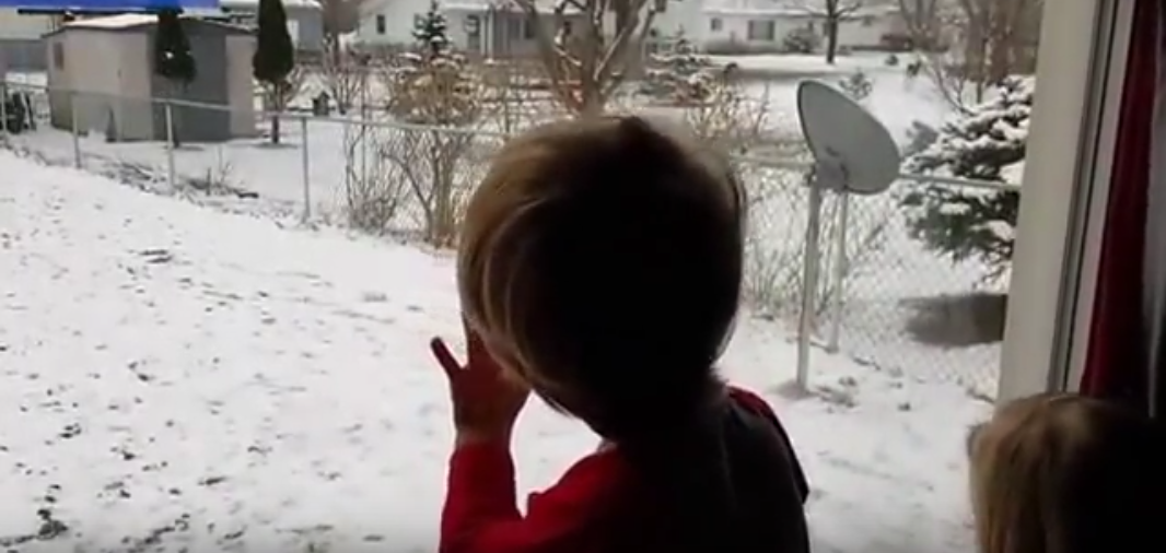 ohio-boy-loves-the-deer-in-his-backyard