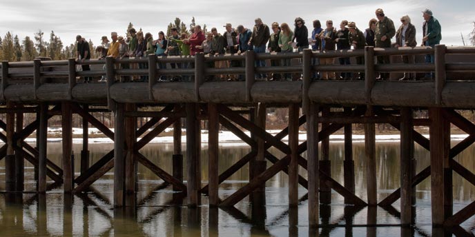 yellowstone-fishing-bridge