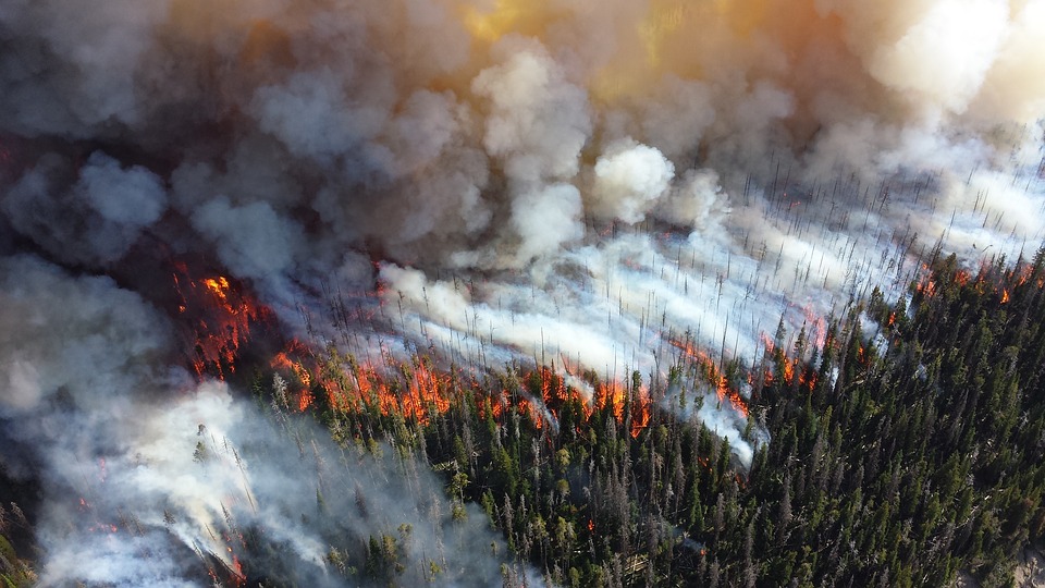 yellowstone-forest-fire