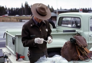 yellowstone-park-ranger