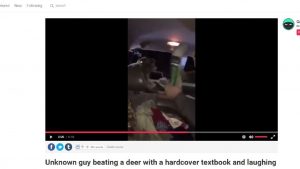 3-men-beat-deer-with-textbook-on-video-laughing