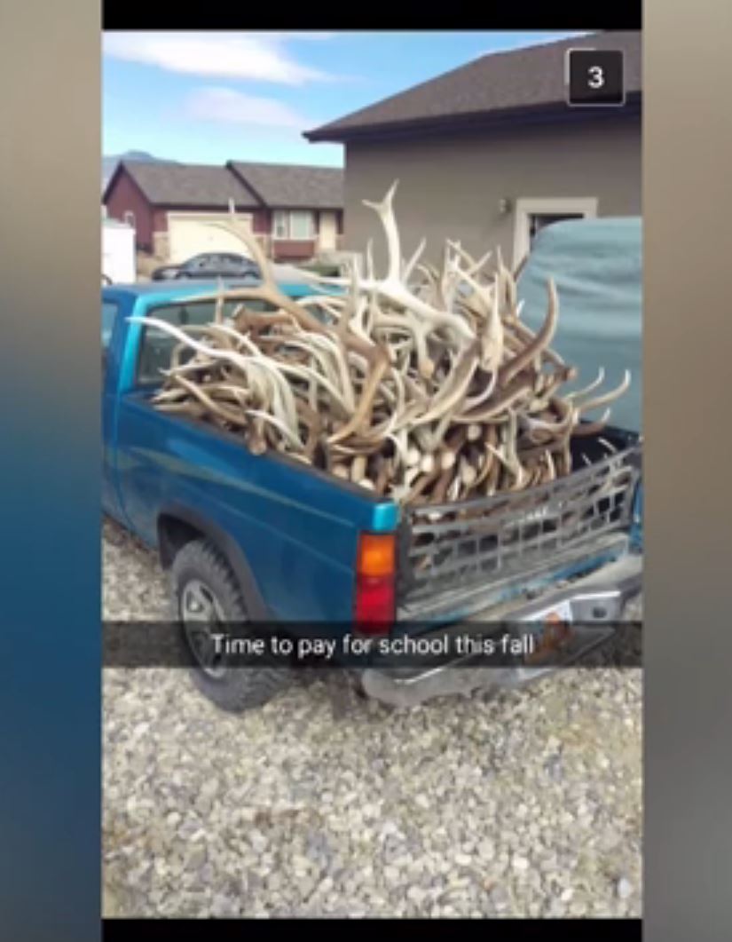 brennon-golding-snapchat-stolen-antlers