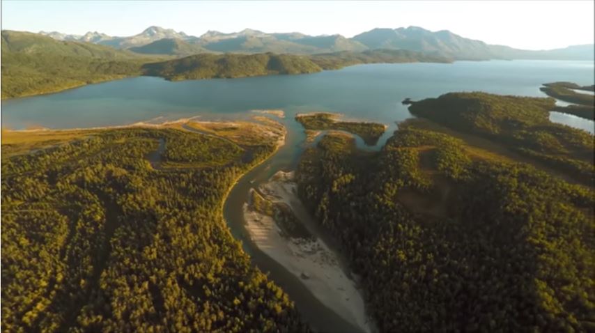 sockeye-salmon-spawning-grounds-alaska