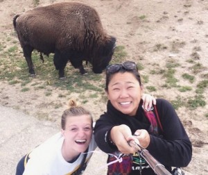 yellowstone-bison-selfie