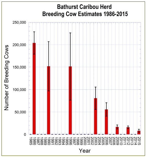 bathurst-caribou-herd-breeding-cow-population-chart