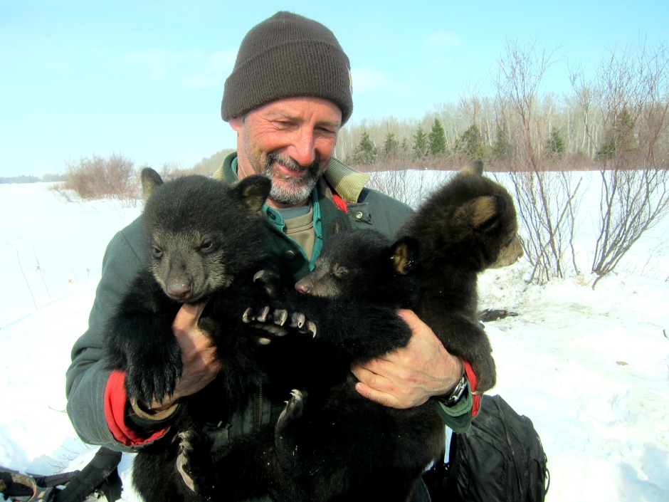 dave-garshelis-with-bear-cubs