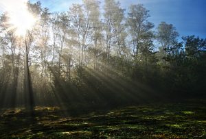 michigan-public-lands