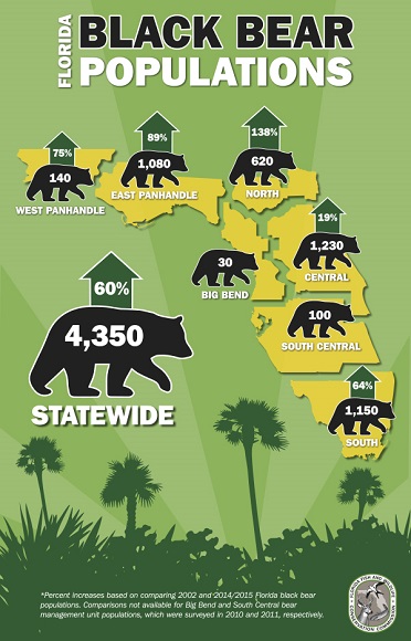 florida-black-bear-population-infographic