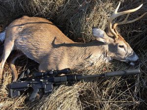Whitetail-buck-shot-by-hunter