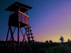 hunting-stand-texas