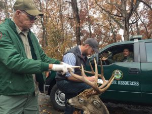 11-point-tennessee-whitetail-seized-by-officials