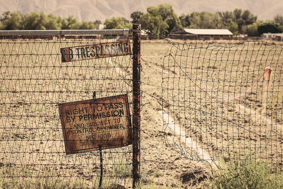 deer-farm-fence