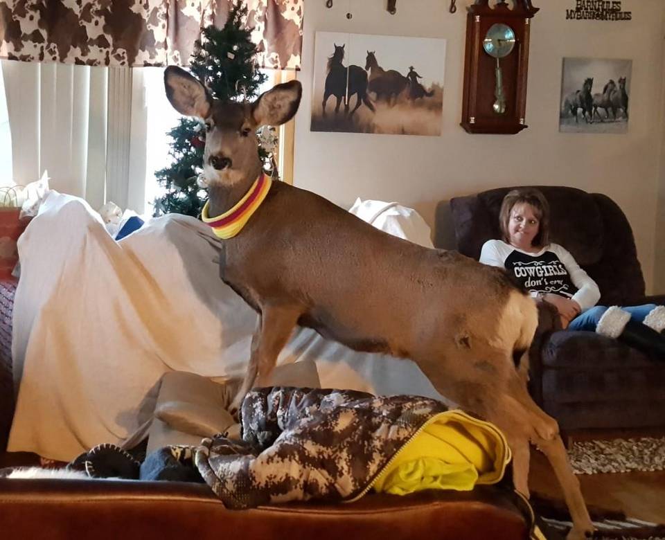 faline-the-deer-inside-the-mcgaughey-home-kansas