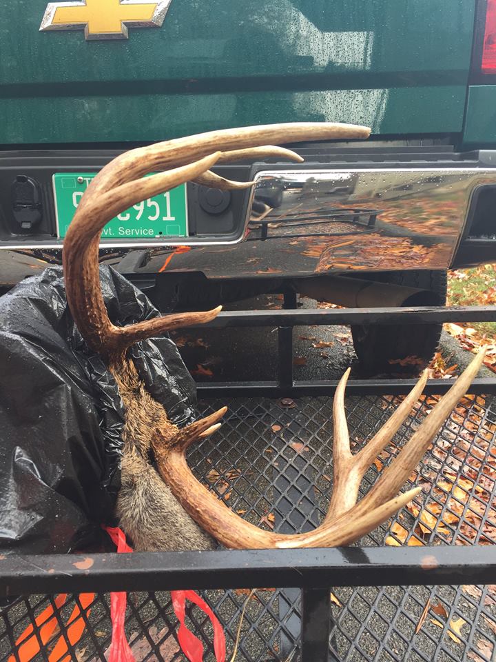 illegally-killed-whitetail-shot-from-driveway-tennessee