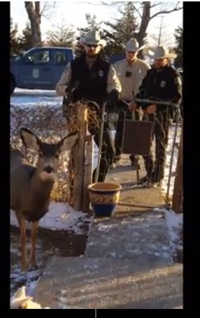 kansas-wildlife-officers-on-the-mcgaughey-property