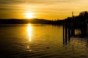 louisiana-sunset-ducks