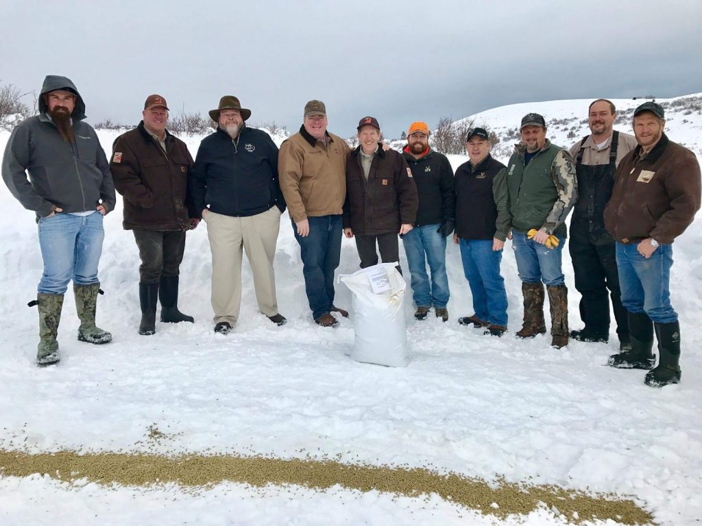 volunteers-join-forces-to-feed-hungry-deer-in-utah