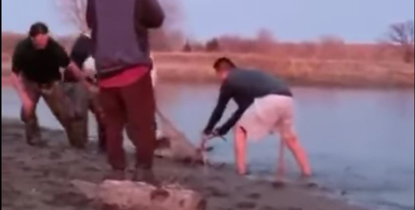 young-men-drag-deer-to-shore-before-killing-it-north-dakota