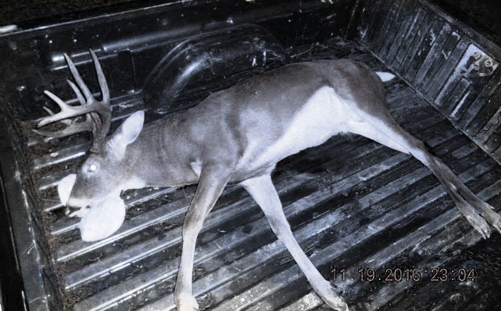 9-point-poached-buck-maryland