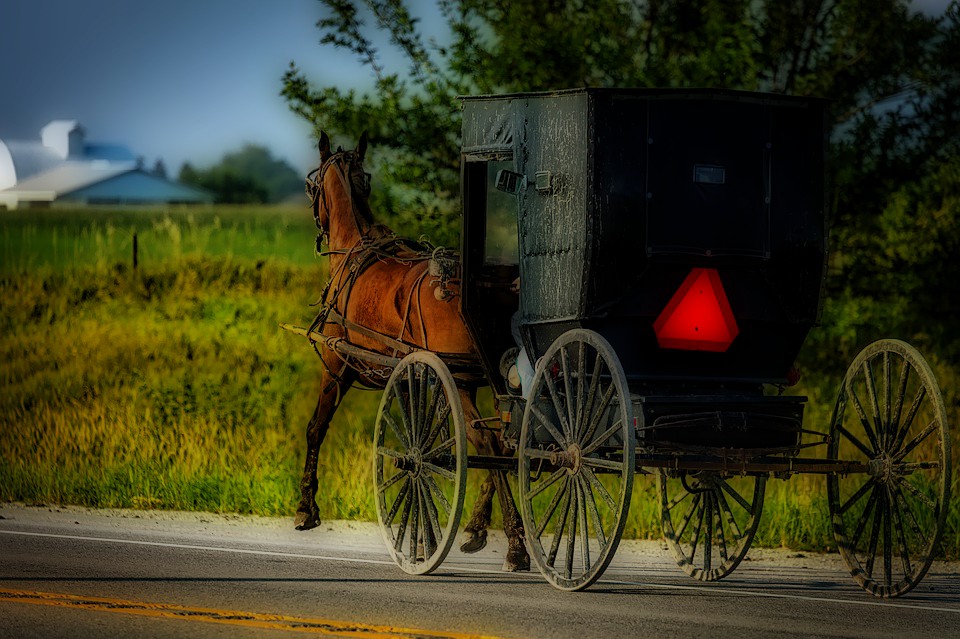 amish-farmer-michigan