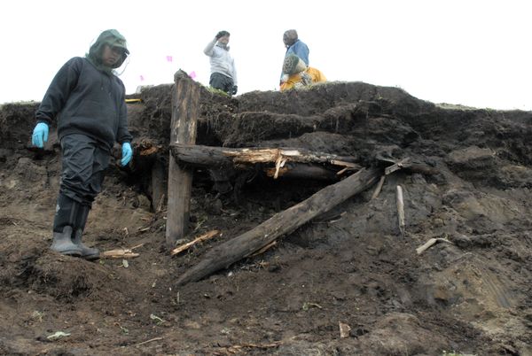 house-timbers-exposed-in-2013