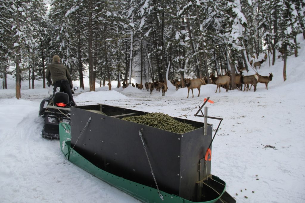 idaho-fish-and-game-officials-towing-feed-to-feeding-stations