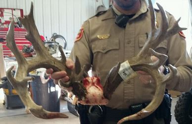 200-inch-poached-deer-from-iowa