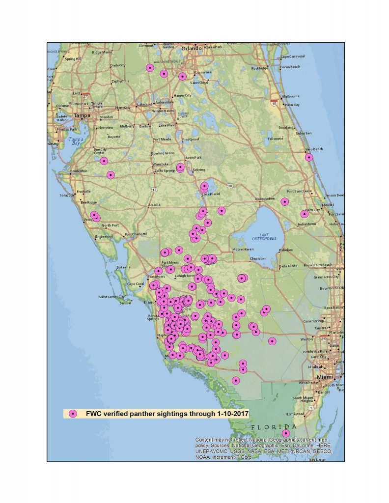 florida-panther-sightings-through-1-10-2017