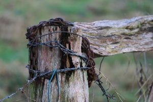 farm-fence