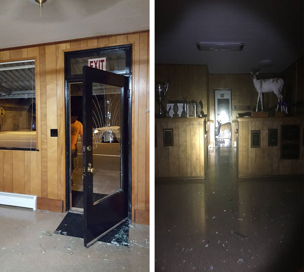 deer-crashes-through-taxidermy-window