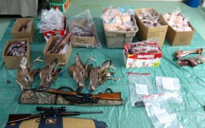 seized-meat-dear-heads-and-rifles-from-quebec-bust