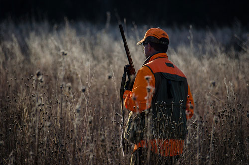 upland-bird-hunter-pennsylvania