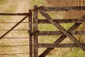 deer-farm-fence