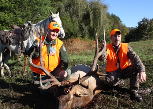 first-elk-taken-in-tennessee