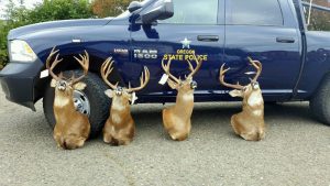 oregon-state-police-seized-deer-heads