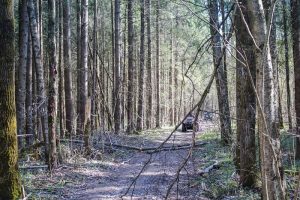 atv-on-trail