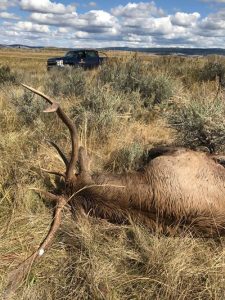 oregon-poached-elk-silvies-ranch