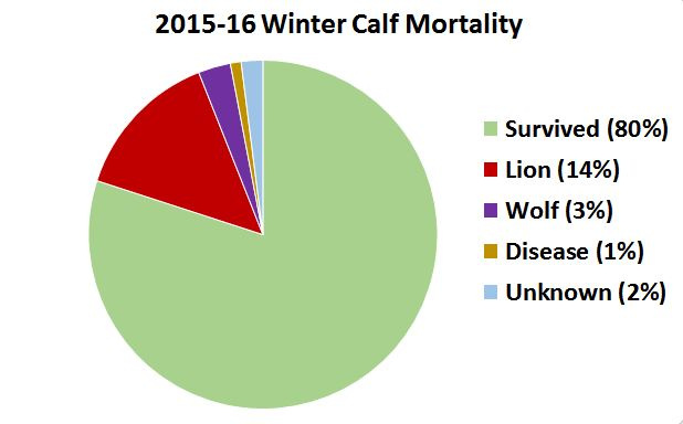 2015-2016-calf-mortality-chart