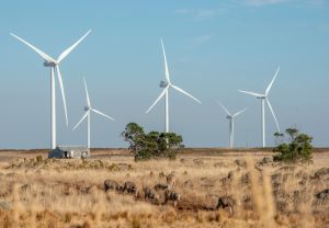 windfarm